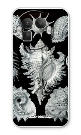 Haeckel Prosobranchia