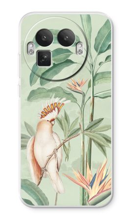 Tropical Parrot