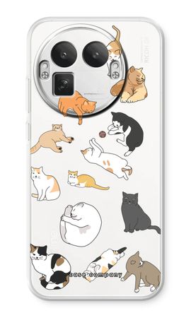 Cats