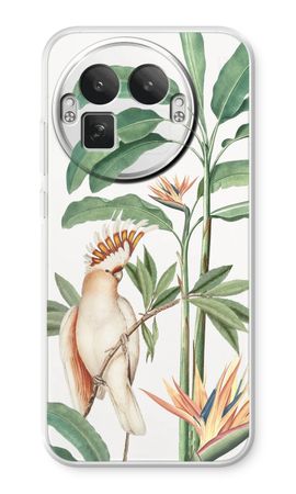 Tropical Parrot