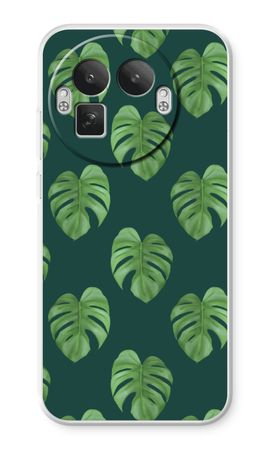 Monstera leaves
