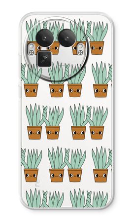 Sansevieria