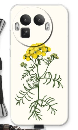 Tansy