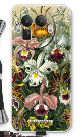 Haeckel Orchidae