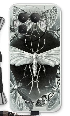 Haeckel Tineida