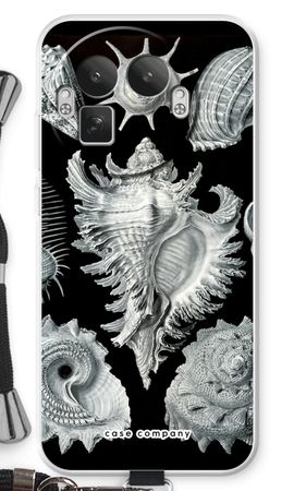 Haeckel Prosobranchia