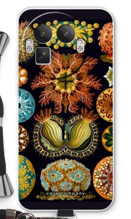 Haeckel Ascidiae