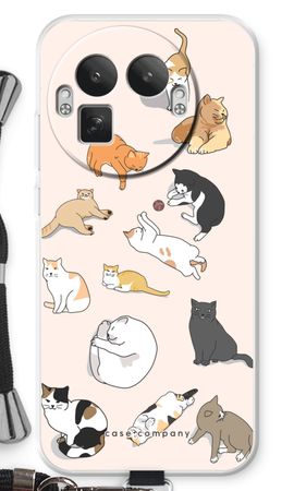 Cats