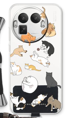 Cats