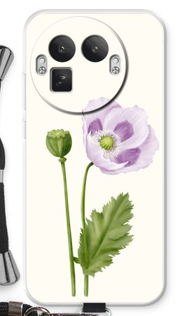 Purple poppy