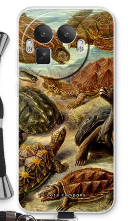 Haeckel Chelonia