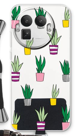 Sanseveria