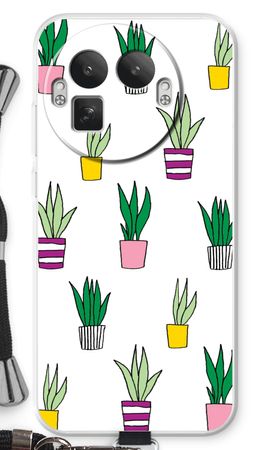 Sanseveria