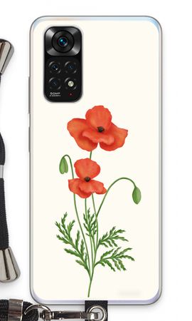 Red poppy