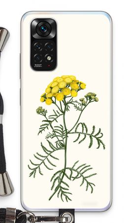 Tansy