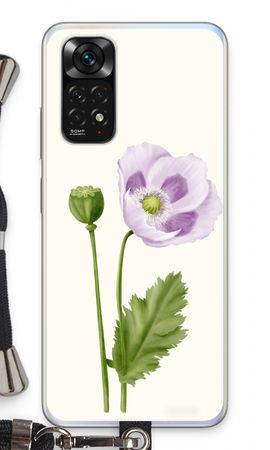 Purple poppy