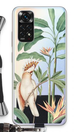Tropical Parrot