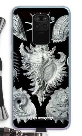 Haeckel Prosobranchia