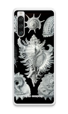 Haeckel Prosobranchia