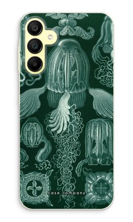 Haeckel Cubomedusae