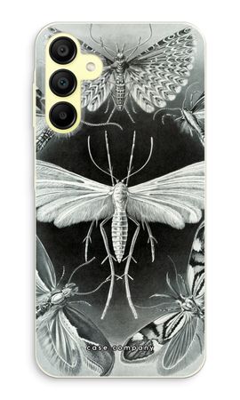 Haeckel Tineida