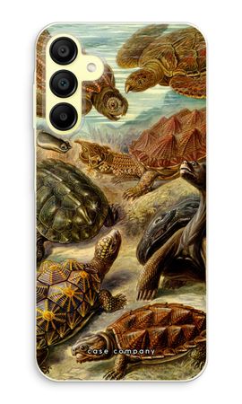 Haeckel Chelonia