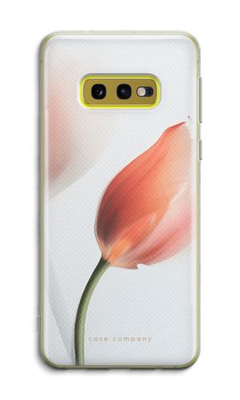 Tulip