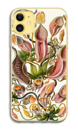 Haeckel Nepenthaceae