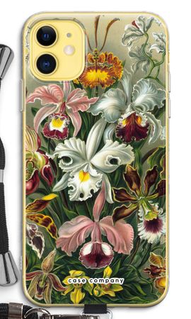 Haeckel Orchidae