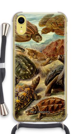 Haeckel Chelonia