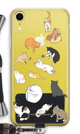 Cats