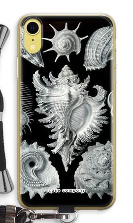 Haeckel Prosobranchia