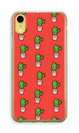 Mini cactus