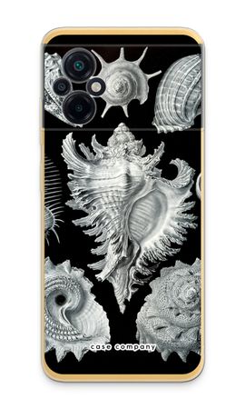 Haeckel Prosobranchia
