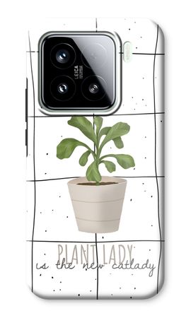 Houseplant on windowpane