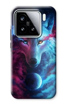 Where Light And Dark Meet