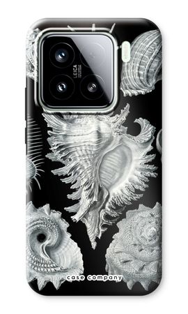 Haeckel Prosobranchia