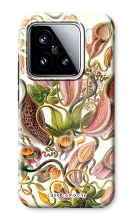 Haeckel Nepenthaceae