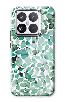 Eucalyptus à feuilles