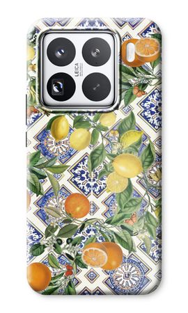 Blue tiles, lemons and oranges