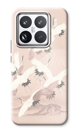 Japanese Crane Birds