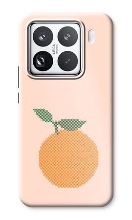 Stitched Clementine