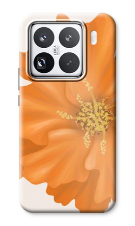 Orange Ellila flower