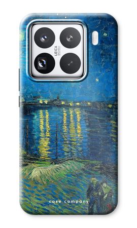 Starry Night Over the Rhône