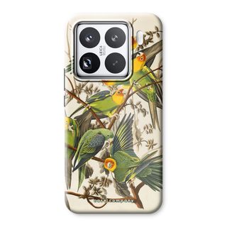 Carolina Parrot