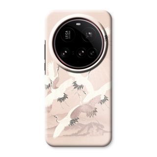 Japanische Kranichvögel