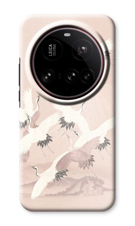 Japanese Crane Birds