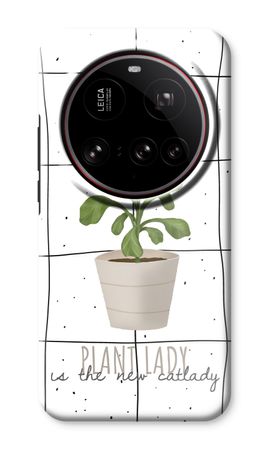 Houseplant on windowpane