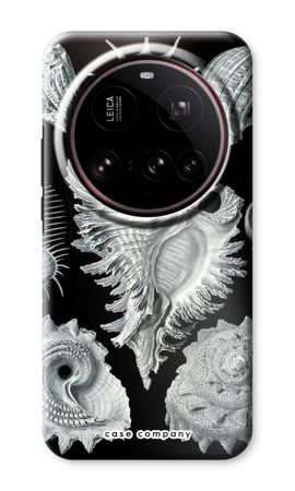 Haeckel Prosobranchia