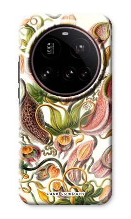 Haeckel Nepenthaceae